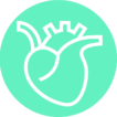 Cardiovascular Icon